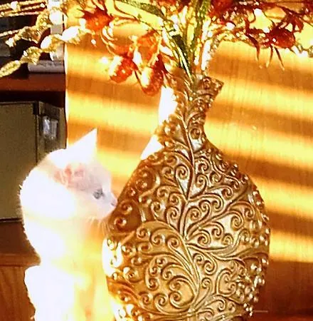 Douro Miranda do Douro