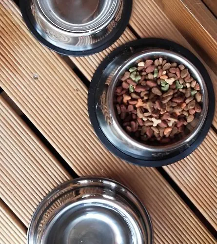 キャンプ場 Douro