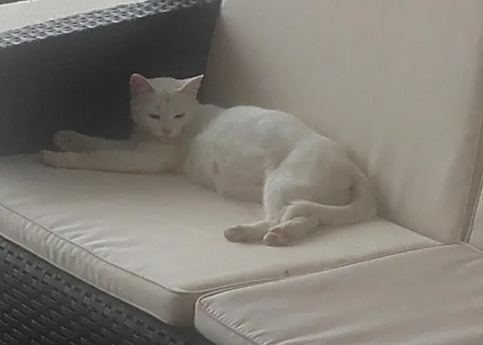 キャンプ場 Douro 3*