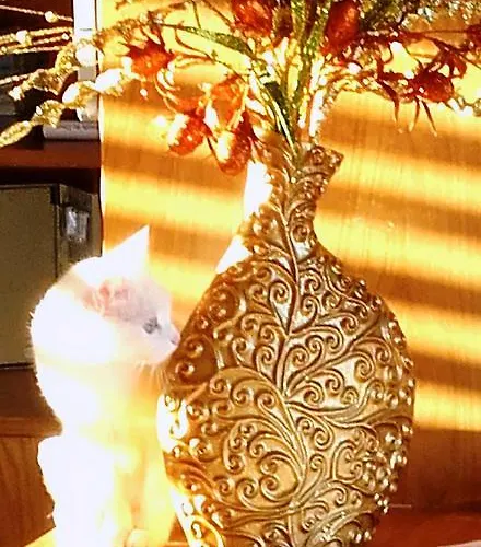 Douro ミランダ・ド・ドウロ