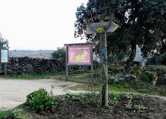 Douro Кемпинг 3*